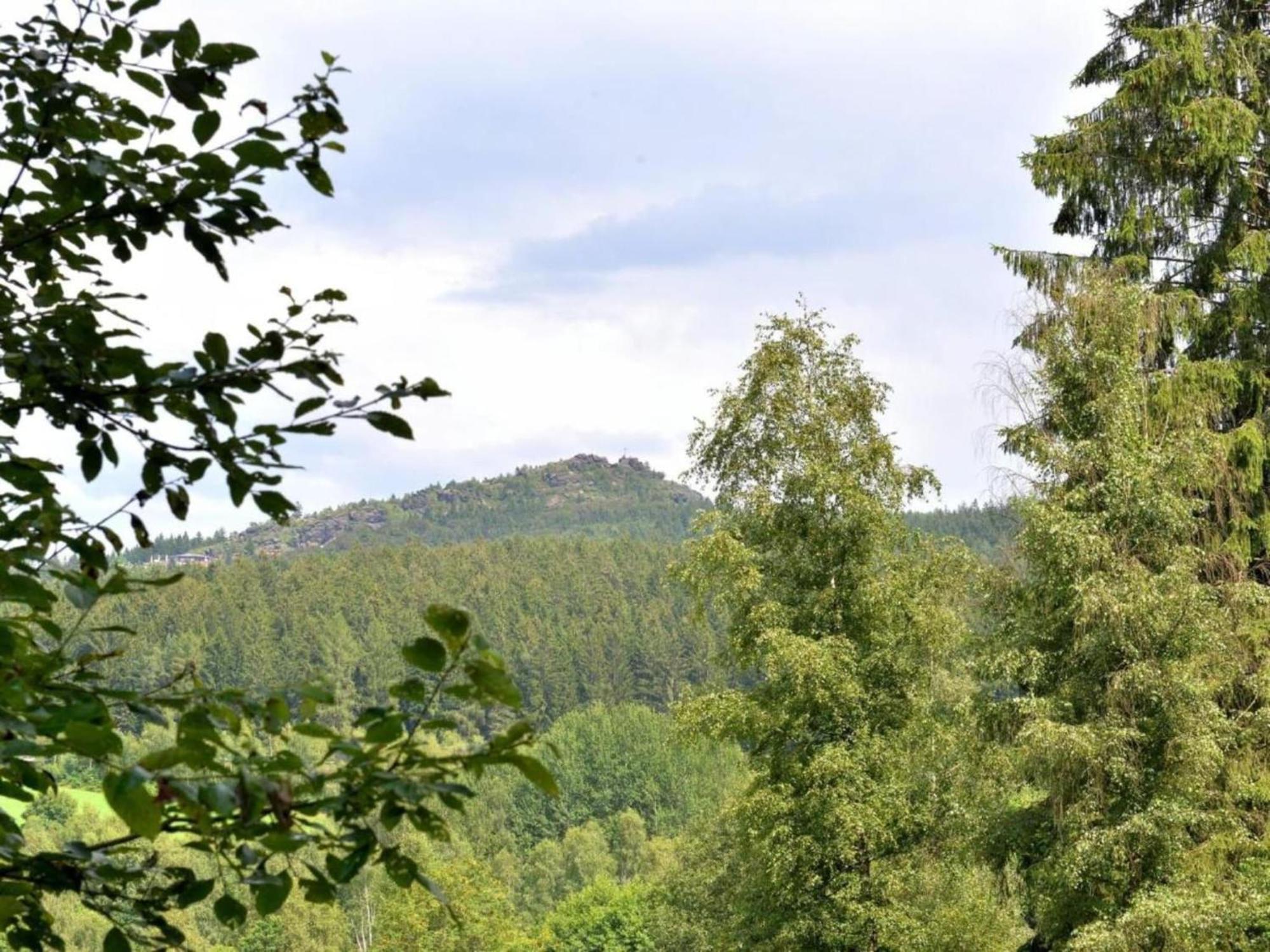 Apartment In The Bavarian Forest With Balcony Drachselsried Dış mekan fotoğraf